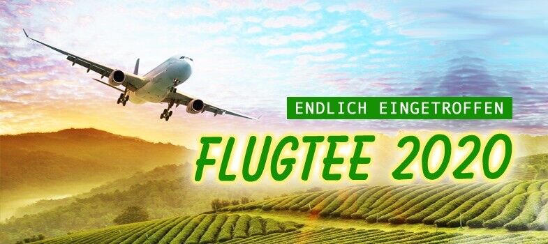 2020-06-Flugtee
