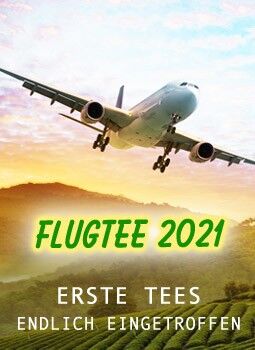 2021-04-Flugtee
