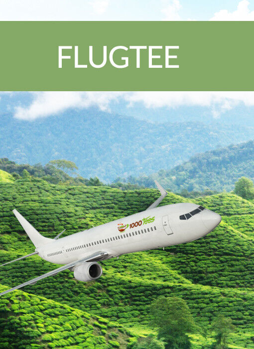 Flugtee Darjeeling First Flush 2023