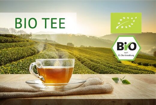 BIO Tees | Tee aus biologisch kontrolliertem Anbau aus aller Welt